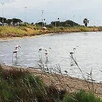 Lägenhet Cagliari, Oliveoyl Apt&terrace *